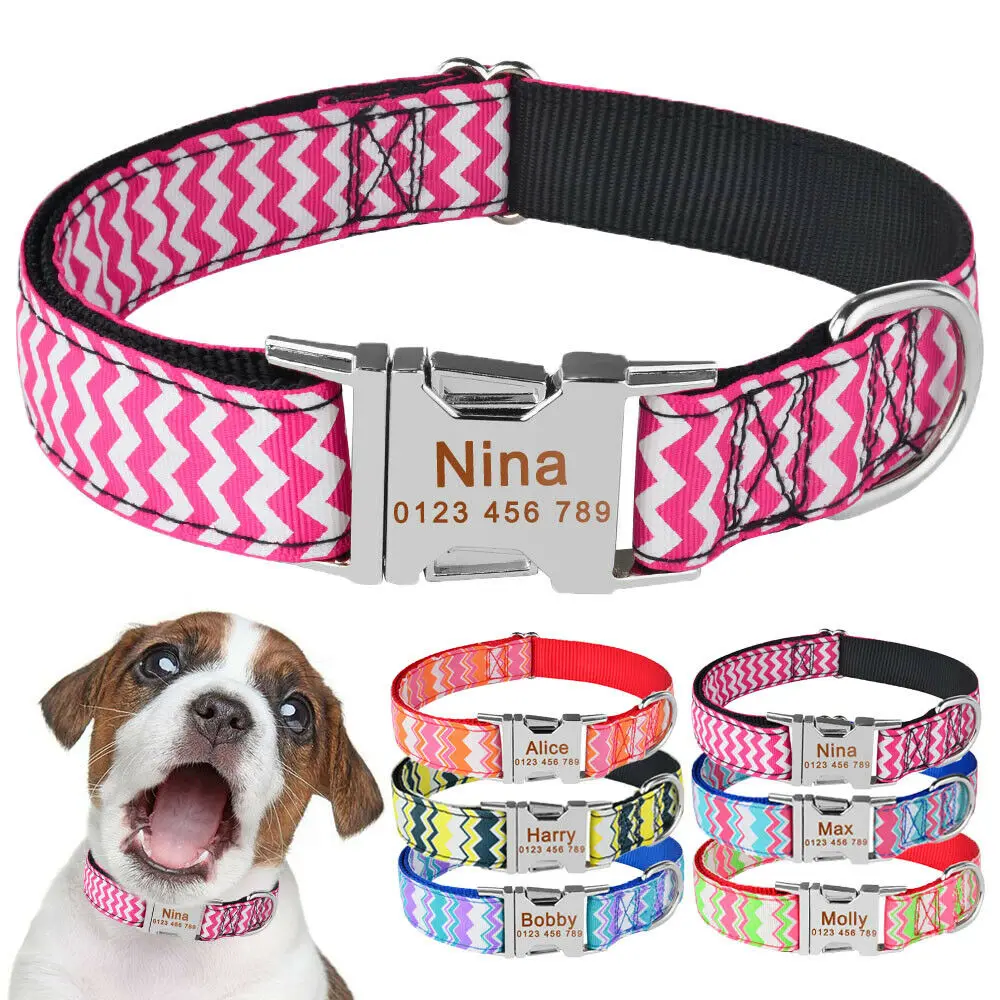 custom engraved dog collars