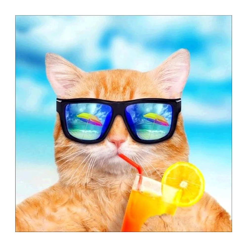 5D DIY Partial Drill Round Rhinestone Diamond Painting Glasses Cat Pet Art Embroidery Mosaic Cross Stitch Kit Home Decor Gift | Дом и сад