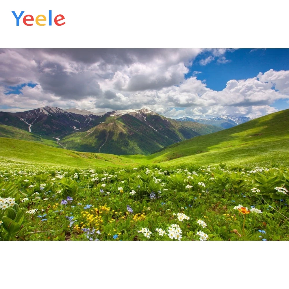 Yeele горный фон пастбища цветок небо природа для новорожденных вечерние снимок, фон для фото студии фотосессии