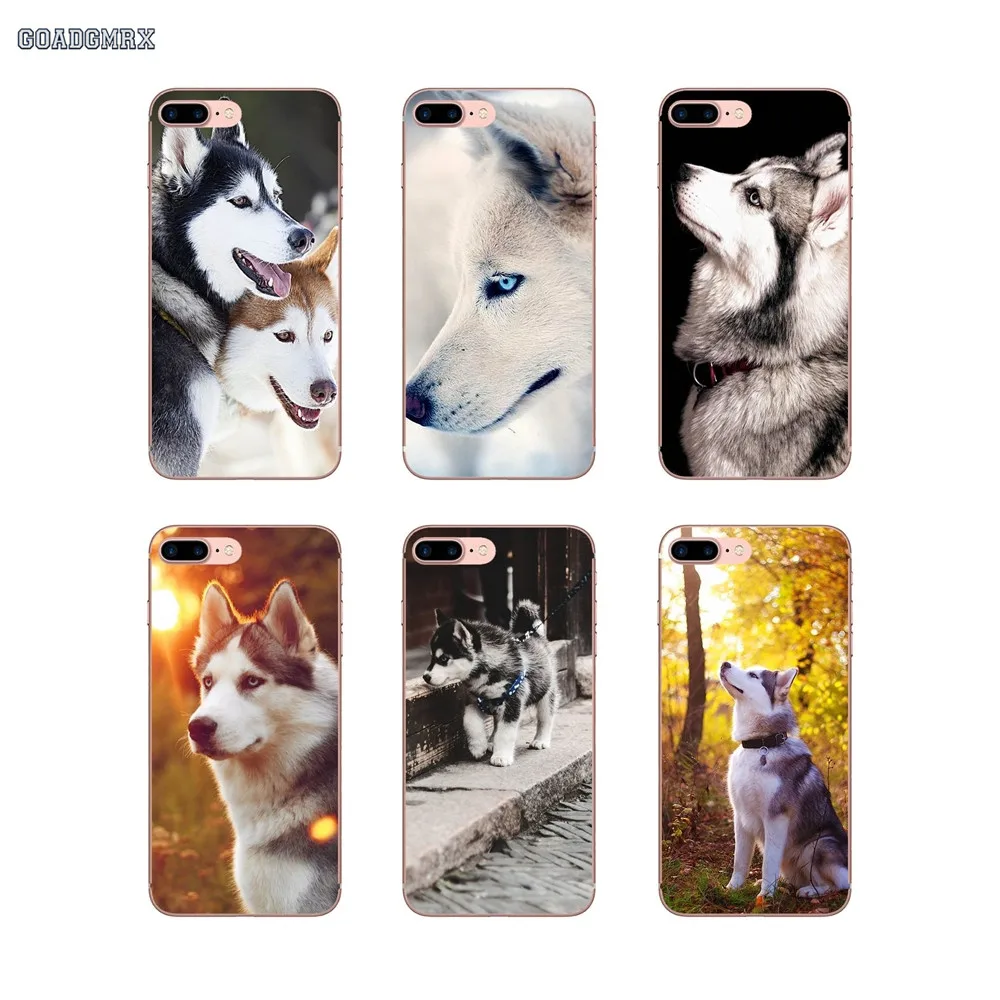 For Huawei Honor 7 8 10 6 Play 4C 5C 5X 6X 7X 8X 9 Lite 7A 6C Pro 5A 6A 7C Nova 3 3i Precious Siberian Husky Dogs Silicone Cover | Мобильные