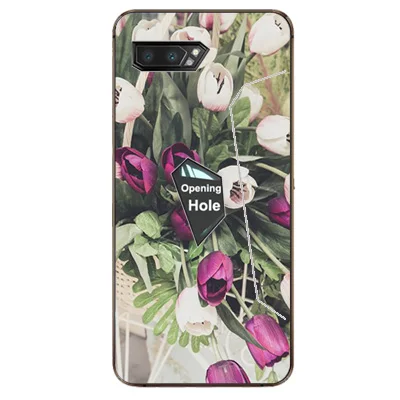 Чехол с рисунком для Asus ROG Phone 2 мягкий чехол из ТПУ ZS660KL 2019 задней крышки телефона