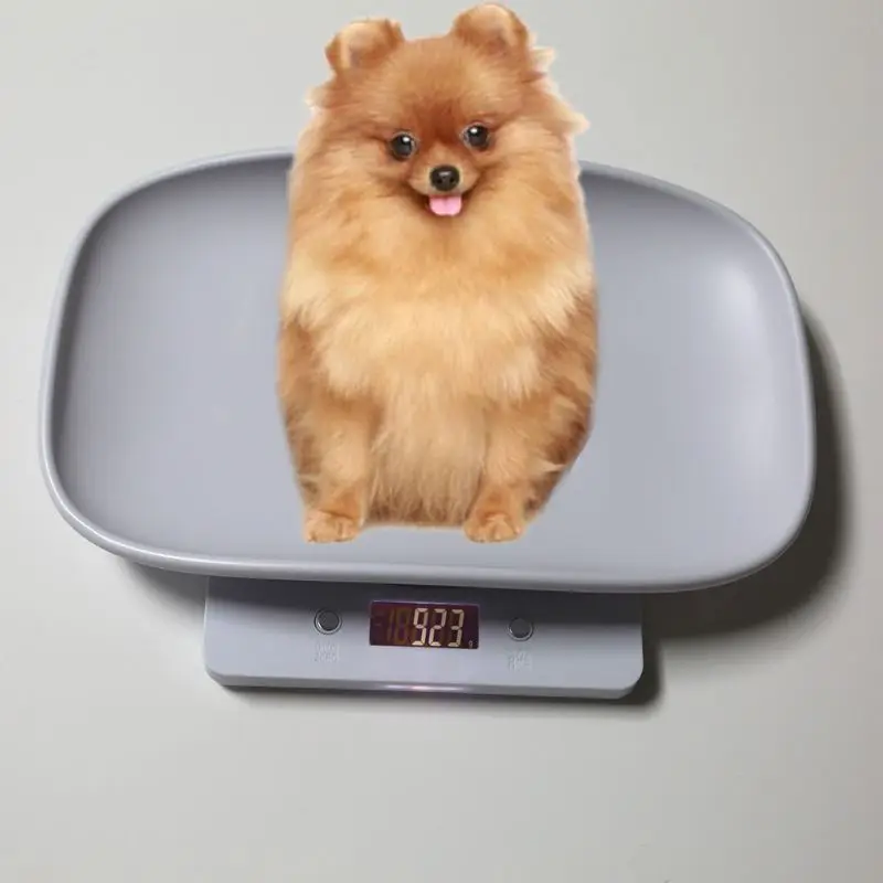 1g-10kg Pet Dog Cat Animal Scale Digital Baby Infant Weight Scale kg/oz/lb