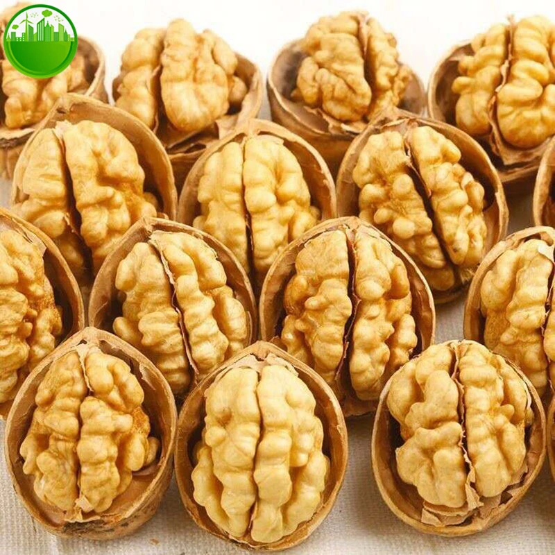 Dried Walnut Nuts Dried Fruit A Pregnant Woman Walnut Agricultural Products From China