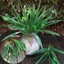 Искусственный Зеленый хлорофит Крытый поддельные листья растений навесной домашний декор новый