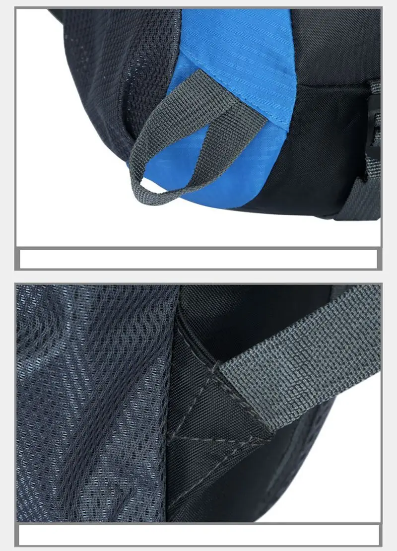 4413915599_741038267_副本