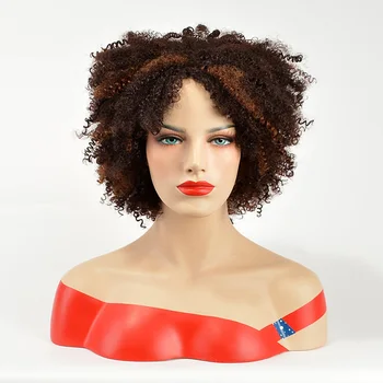 

GAKA Short Female Haircut Afro Kinky Curly Wig Synthetic Hair Perfumes Feminino African American Celebrity wigs