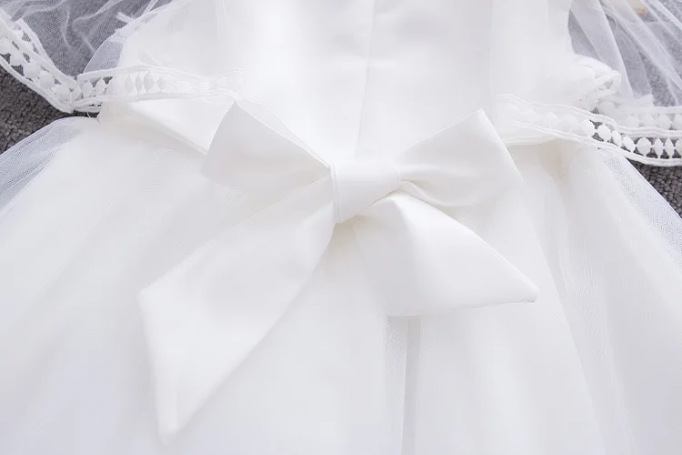 8644800237_346669714