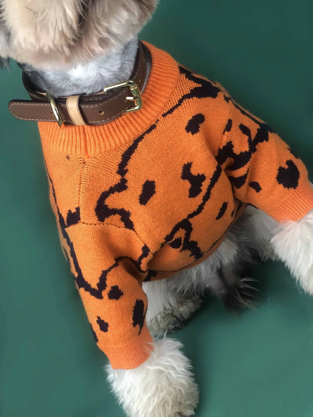 微信图片_20191114221038