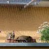 Plastic Cat Protective Net Pet Protection Net Sturdy Safe Wire Cover for Balconies Windows 2