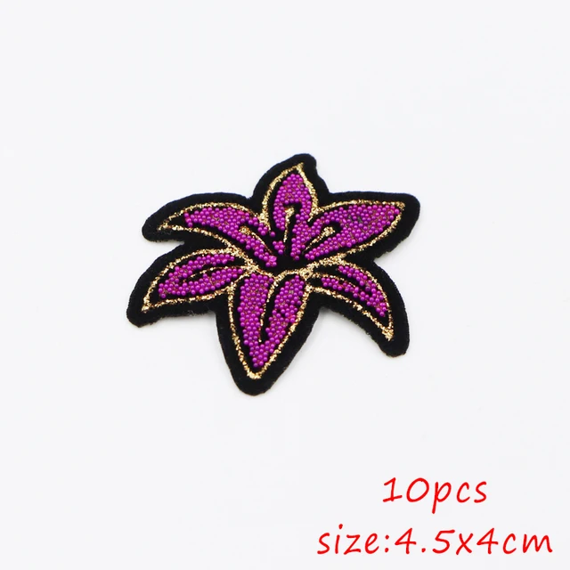 10PCS