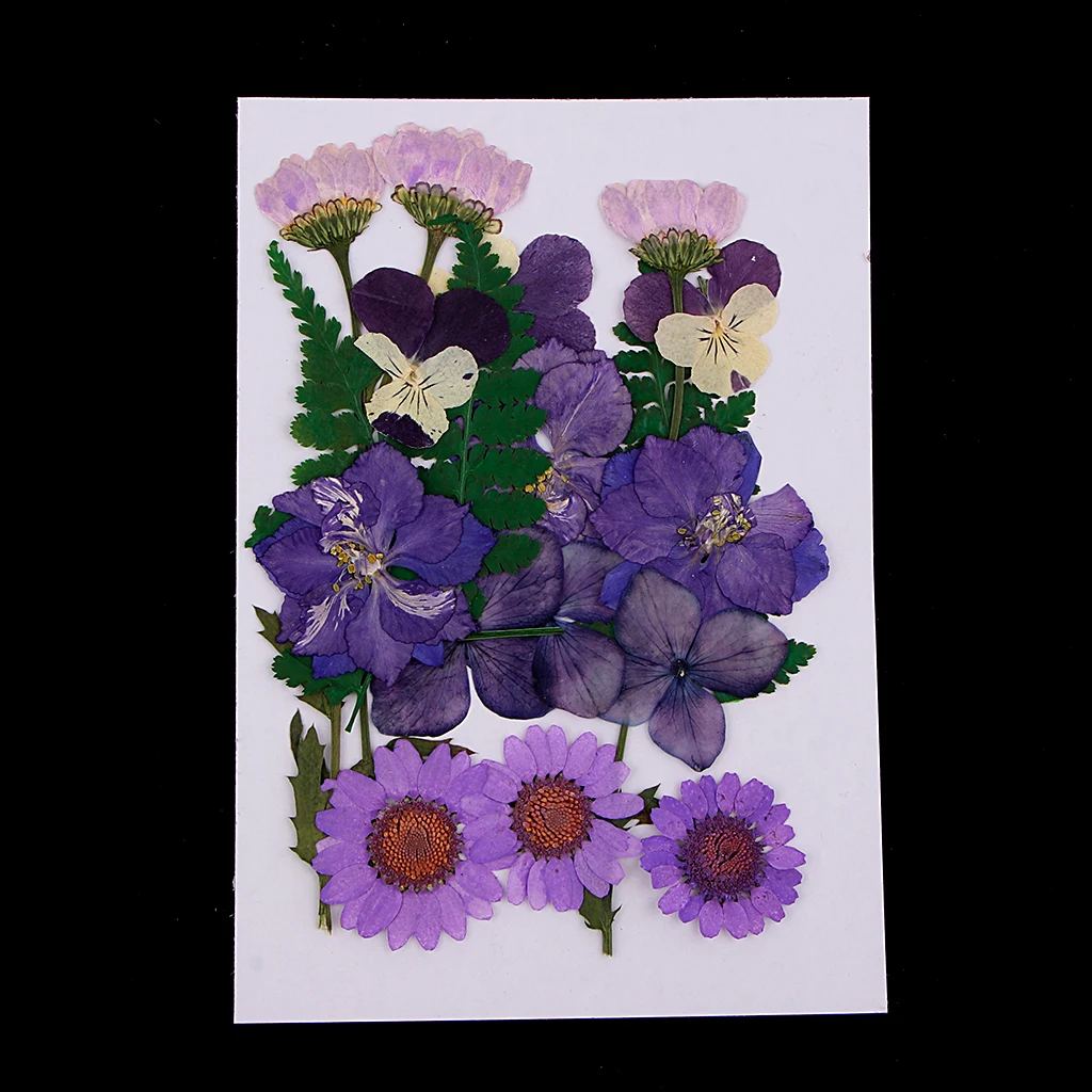 Lots Mixed Real Pressed Flower Dried Flowers Scrapbooking Phone Cover DIY Crafts Home Decoration Jewelry Making