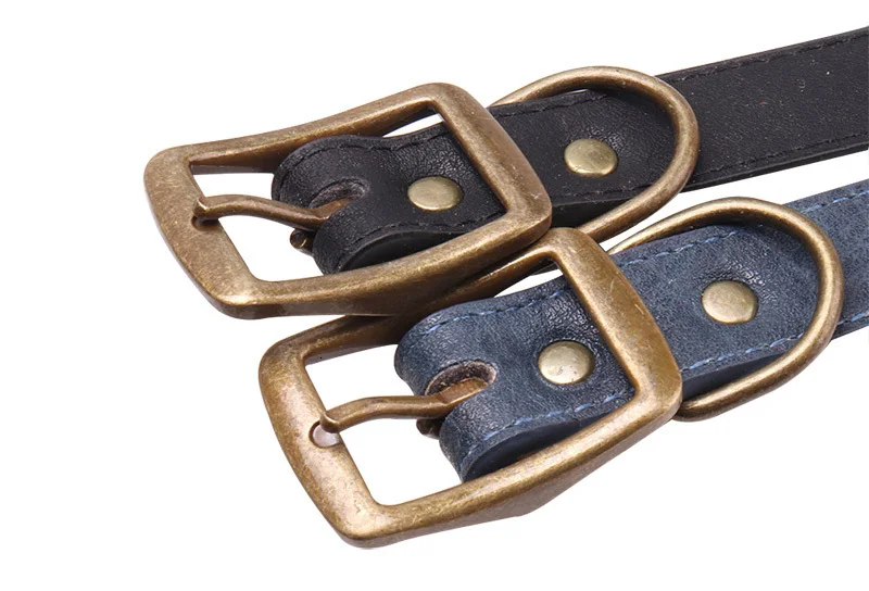 dog collar buckle