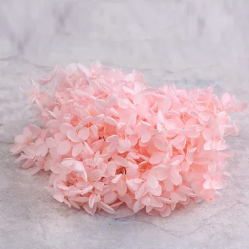 

Preserved Hydrangea Flower Gift for Valentine's Day Anniversary Christmas
