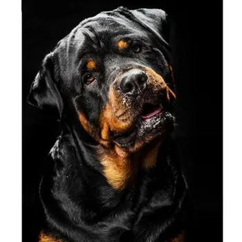 

Diamond Painting Rottweiler Dog Full Square Diamond Embroidery Pet Cross Stitch Needlework Diamond Mosaic Rhinestones Home Decor
