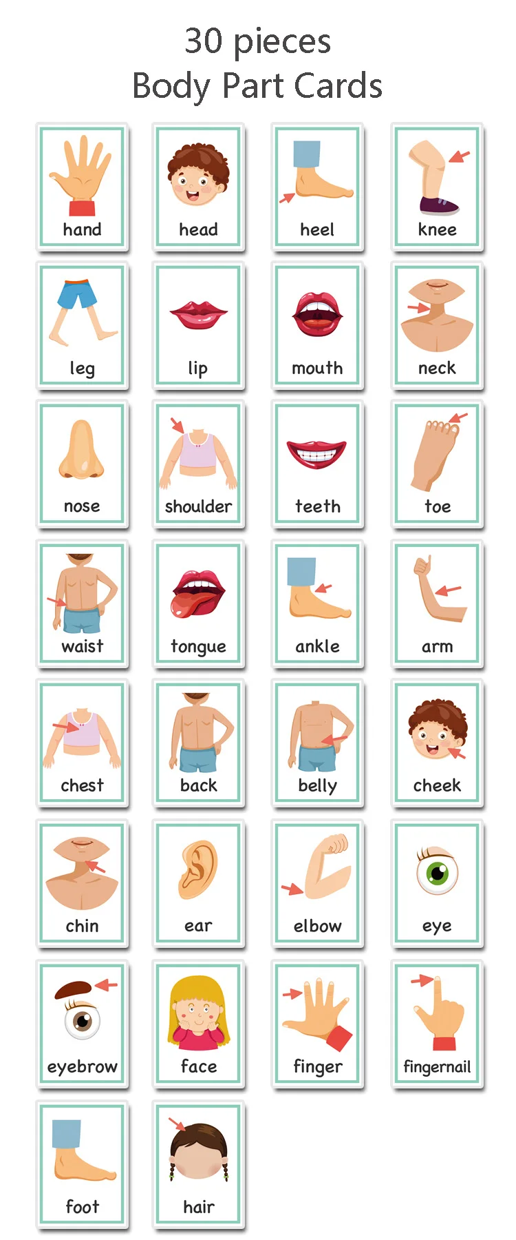 Parte do Corpo Jogos de Cartas de Aprendizagem Educativos para Crianças Inglês Palavra Montessori Bebê Cartões Flash Brinquedos 30 Pçs 2 Computers & Electronics