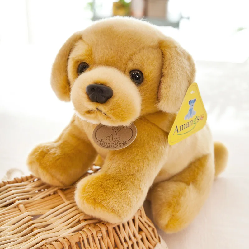 11541702093_1550818352