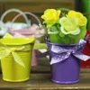 Garden Supplies
