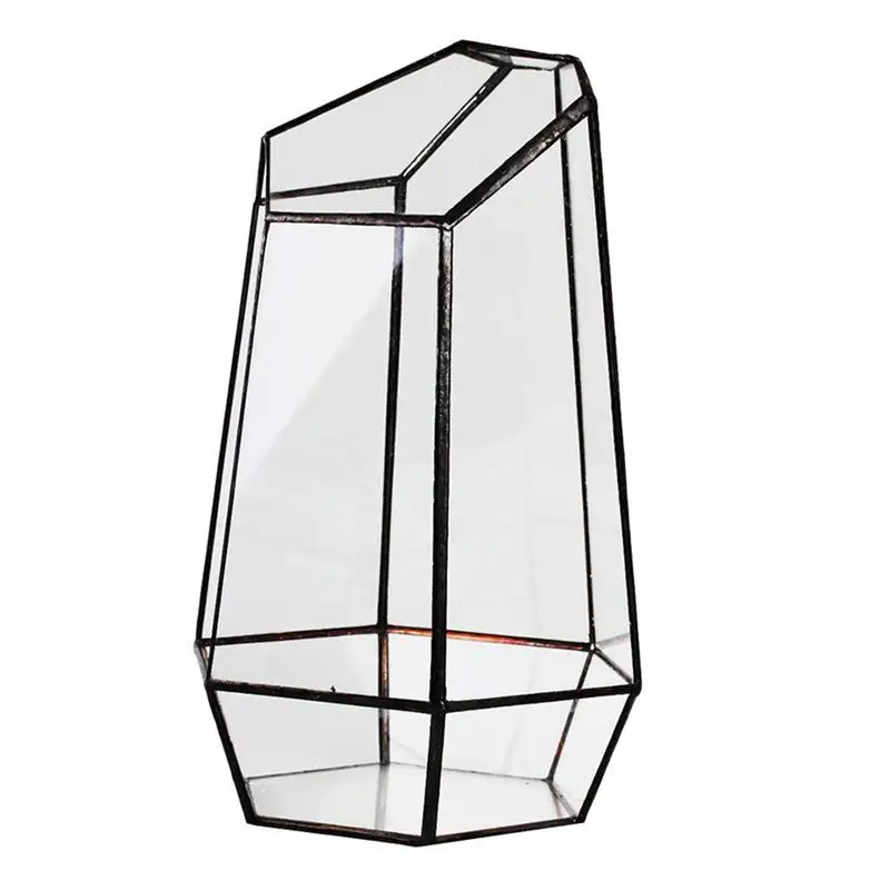 Palram Canopia Oasis Hexagonal Greenhouse Costco House Greenhouse