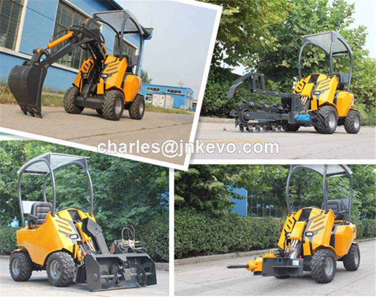 200 mini loader (113)