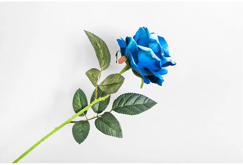 6416945674_1585245758