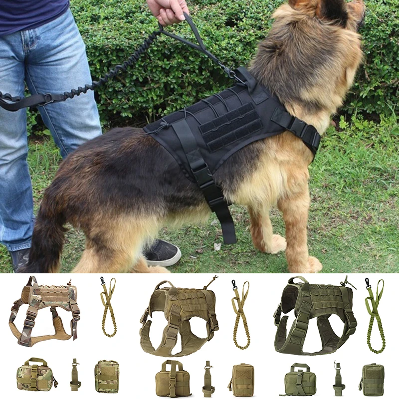 Are Bungee Leashes Suitable For German Shepherd Dog