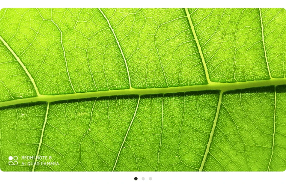 Redmi-Note-8-09-1