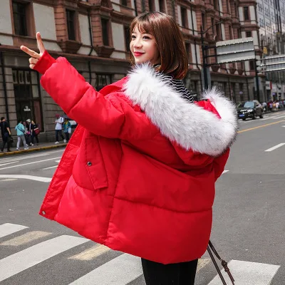 Новая зимняя хлопковая стеганая куртка, Женская Толстая стеганая куртка, Женская парка, модная меховая куртка с капюшоном, однотонная свободная короткая верхняя одежда LU1108 - Цвет: Красный