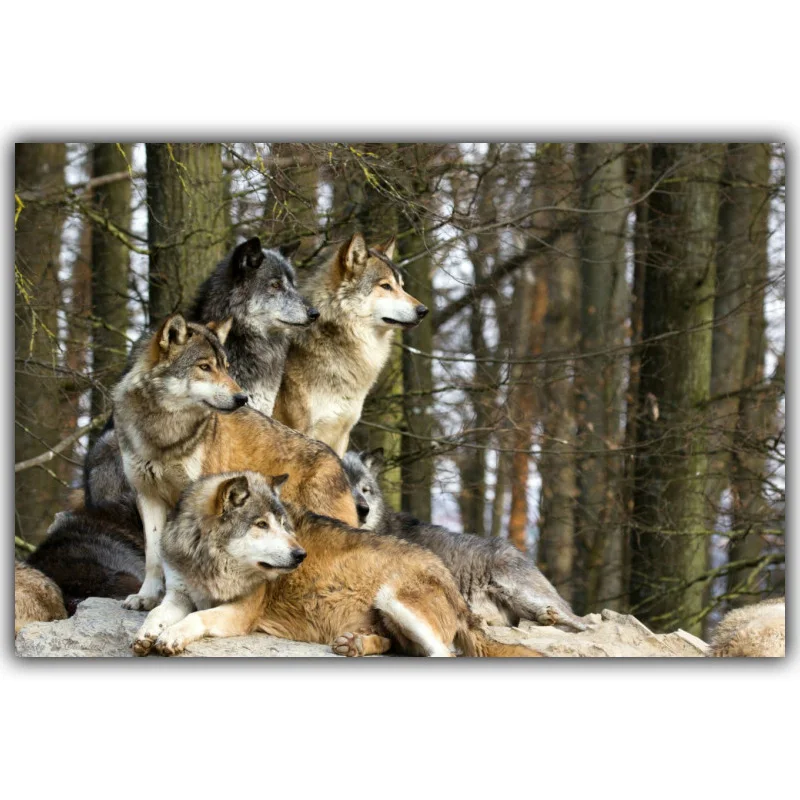 Плакат с изображением снега гор леса волков животных пейзажа искусство Шелковый