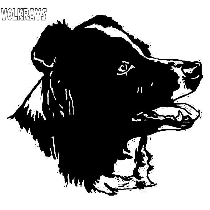 Volkrays креативные автомобильные стикеры Border Collie аксессуары для собак