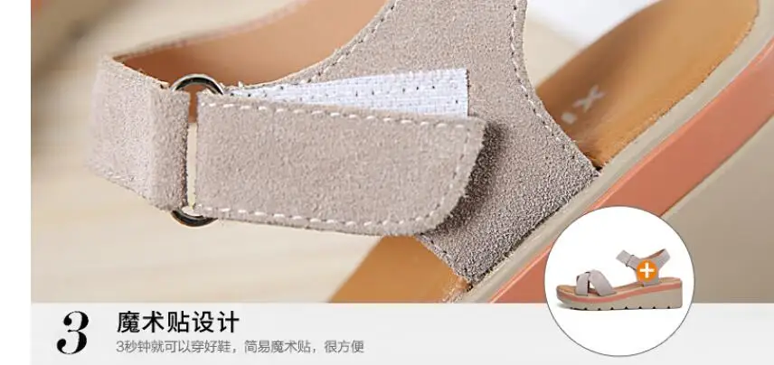 QQ截图20190923103409