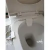 Automatic toilet bidet faucet flus