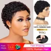 Afro Curly Short Wigs 100% Human Hair Curly Wig with Bangs Pixie Cut African Fluffy Curly Wigs for Women 1B Blond Red Wine Color 1