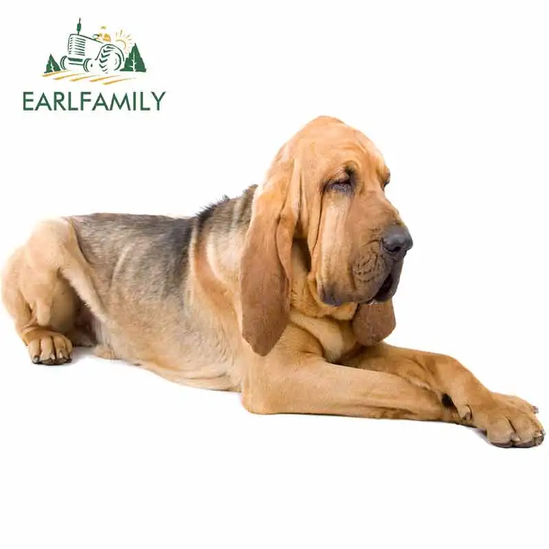 EARLFAMILY 13 см x 11 5 3D наклейки для домашних животных собаки виниловые автомобиля