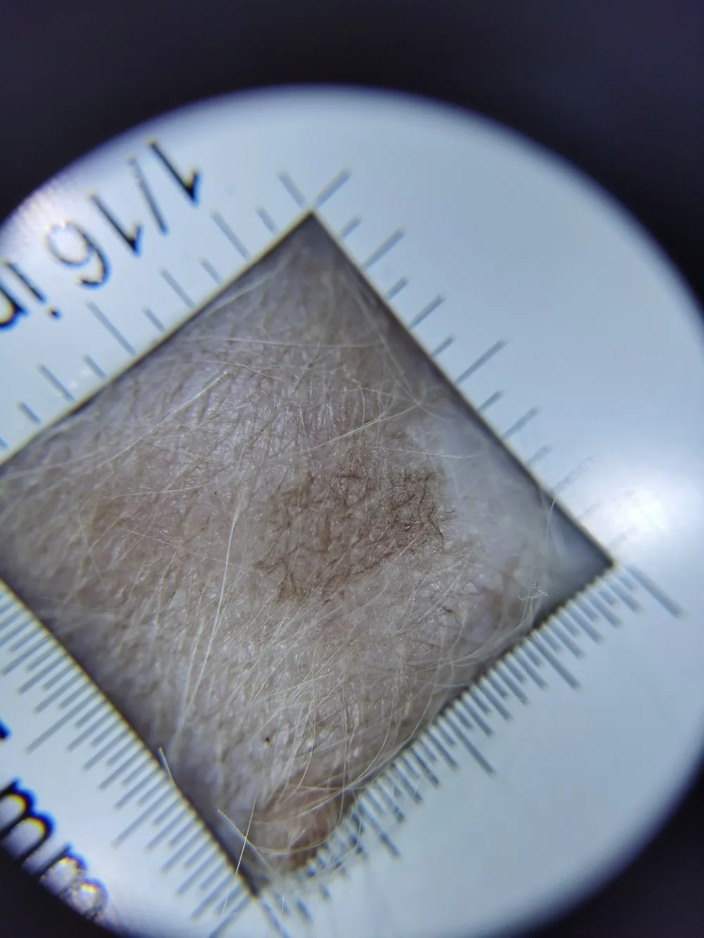 WeChat Image_20201203173055