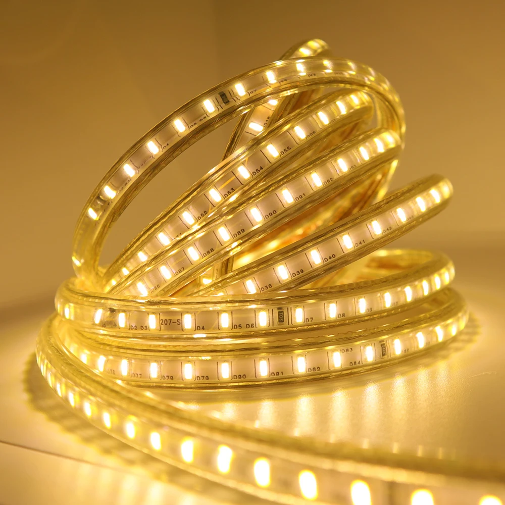 

AC 220V LED Strip Light SMD 3014 120LEDs/m IP67 Waterproof Flexible LED Strip With EU Plug Cord 1-100M For Home Lighting