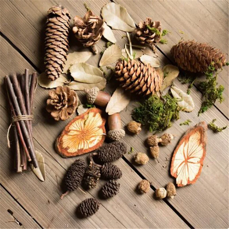 Имитация мульти-типа натуральные ветви желудь поддельные деревянные растения Diy Материал посылка для фотографирования искусственных растений