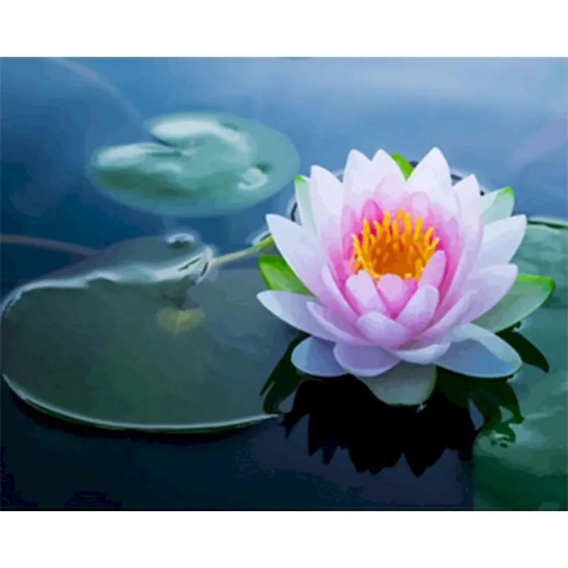 

Beautiful Oil Painting Flower In Lake Painting By Numbers Paint Flower DIY Modern Canvas Picture Hand Painted Home Decor Gift