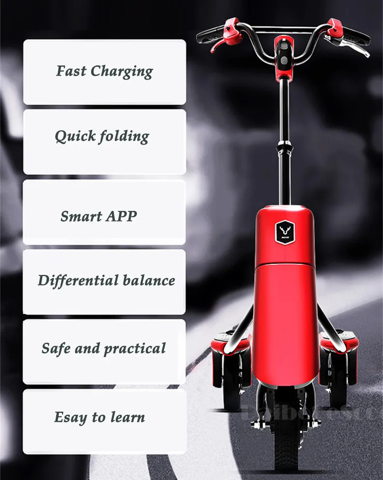 Daibot Electric Scooter Adults Three Wheel Electric Scooters Quick Charge 10 inch 36V 600W Electric Skateboard Scooter With APP  (17)