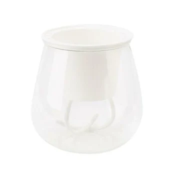 

Transparent Self Watering Plant Flower Planting/Pot Plastic Planter Home Garden