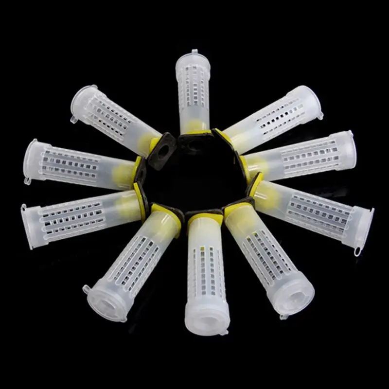 10 компл. Пчеловодство Rearing Cup Kit Bee queen клетки роликовое оборудование для пчеловодов инструмент