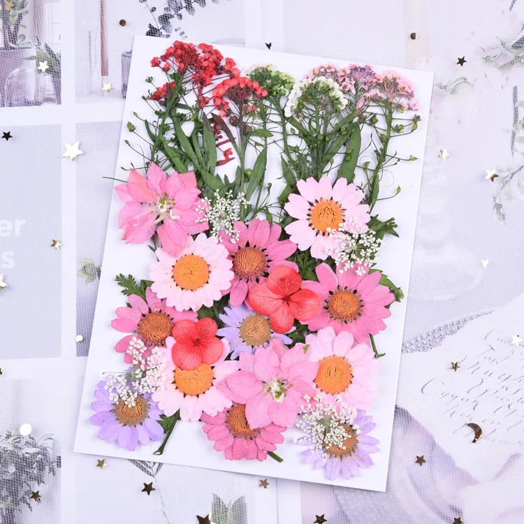 

1 Bag Pink Dried Flowers UV Resin Decorative Natural Flower Stickers 3D Dry Decal Epoxy Resin Mold Filling Jewelry Making DIY