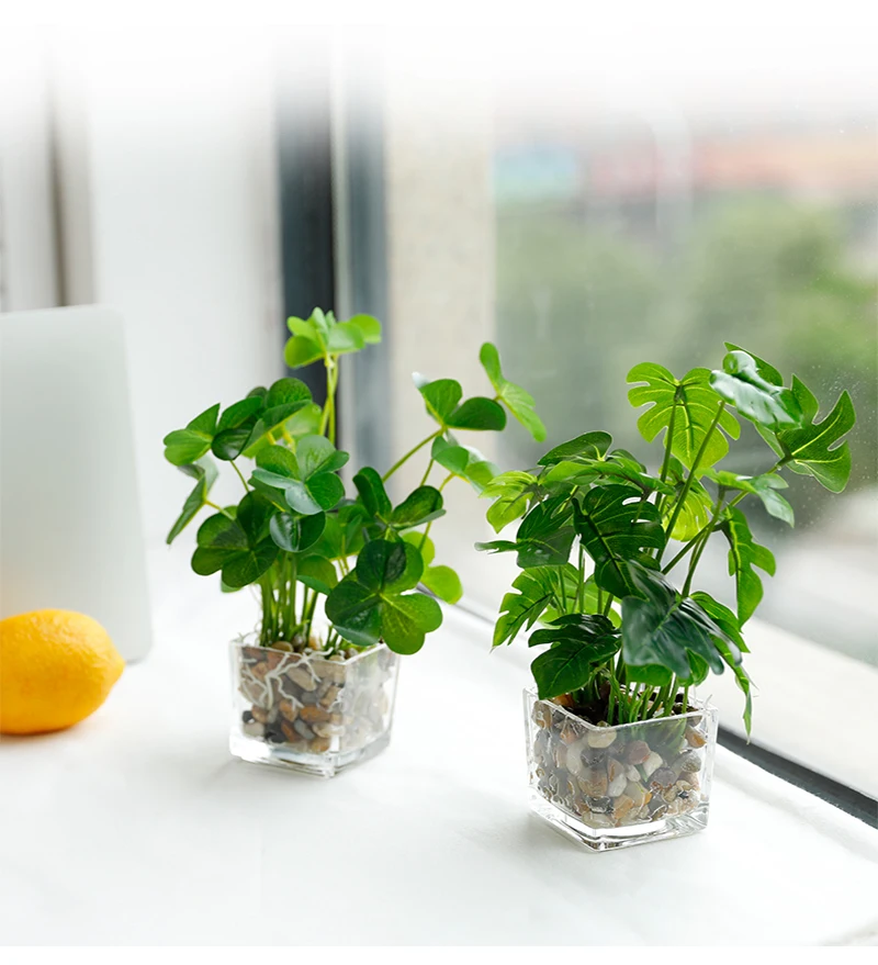 yumai Зеленый клевер растения искусственного стекла бонсай