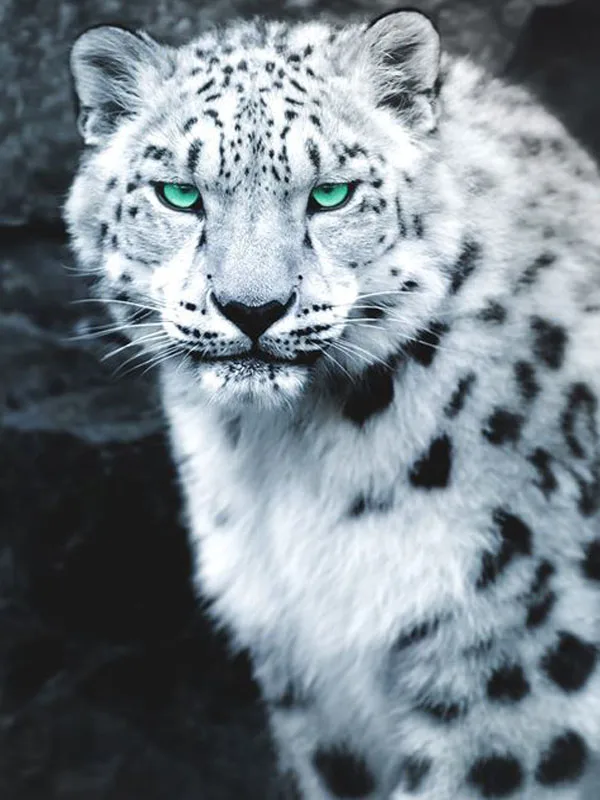 09d1784252f36eac273bc03db2576273