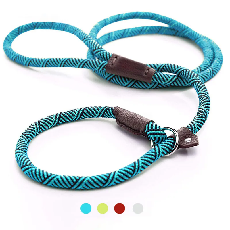 

Pet Harness Leash Durable Slip Rope Dog Leash Collar 2 In 1 Adjustable Loop Collar Comfortable Small Meidum Large Wholesale