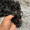 Lace Wigs