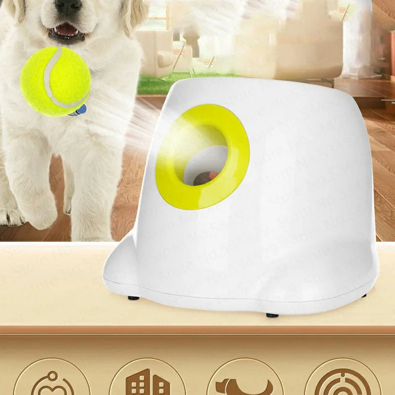 HTB1pnnzwVOWBuNjy0Fiq6xFxVXaD