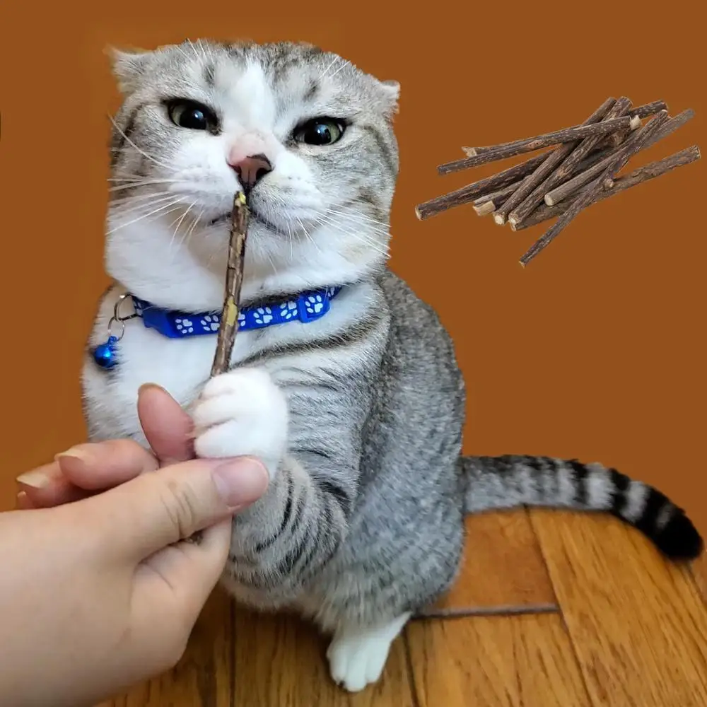 

5/10Pcs Natural Matatabi Catnip Cat Snacks Sticks Actinidia Silvervine Cleaning Tooth Pet Toy For Cat Toys Supplies