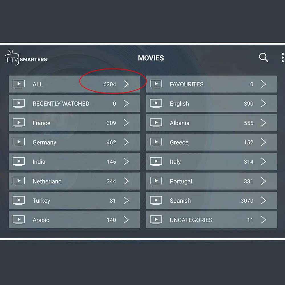 1 год HD мировое IPTV Испания Франция Турция голландский Израиль с 7400 + LIVE tv VOD для M3U IP