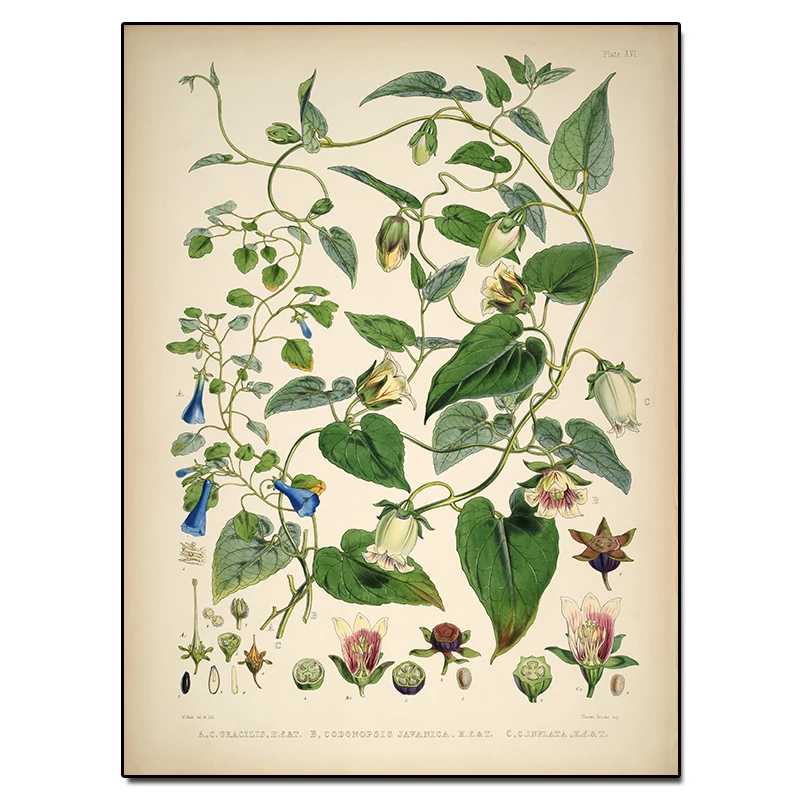 abstract kitchen painting