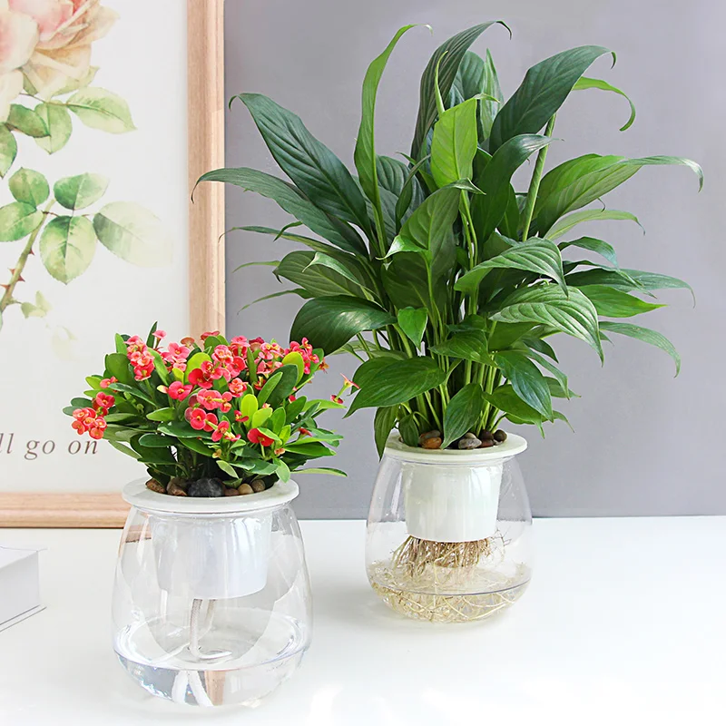 

Auto Irrigate Flower Pot Vase Automatic Watering Planter Lazy Planting Round
